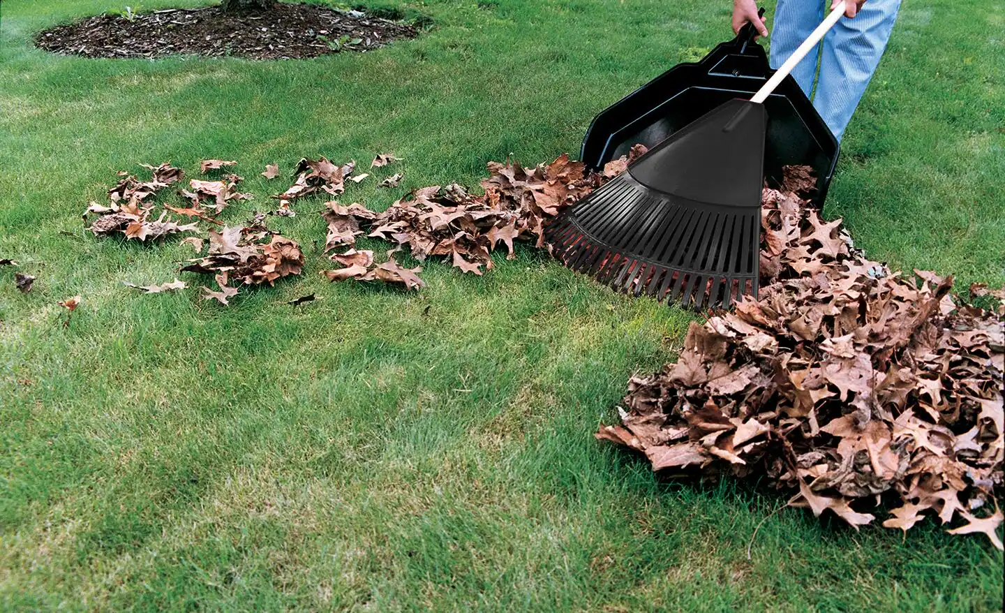 Fall cleanup